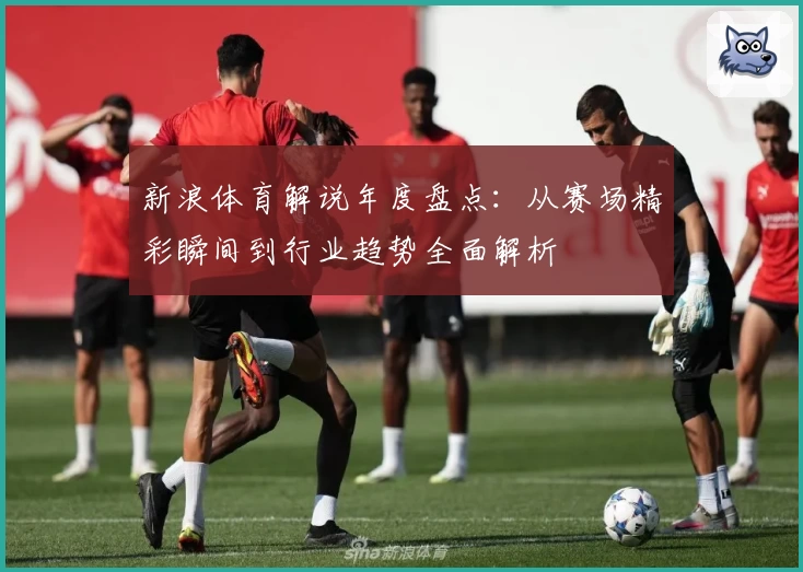 新浪体育解说年度盘点：从赛场精彩瞬间到行业趋势全面解析