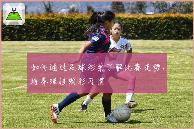 如何通过足球彩票了解比赛走势，培养理性购彩习惯