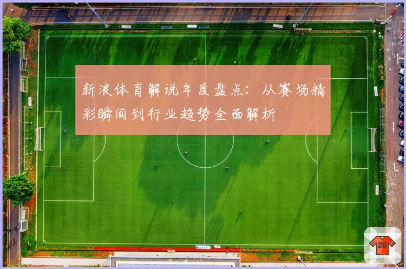 新浪体育解说年度盘点:从赛场精彩瞬间到行业趋势全面解析