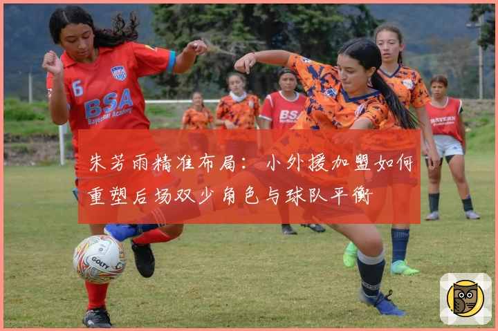 朱芳雨精准布局：小外援加盟如何重塑后场双少角色与球队平衡