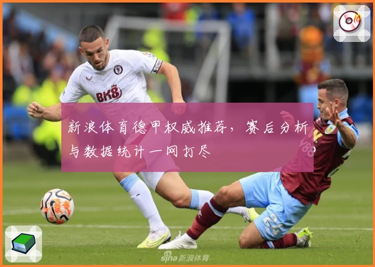 新浪体育德甲权威推荐,赛后分析与数据统计一网打尽