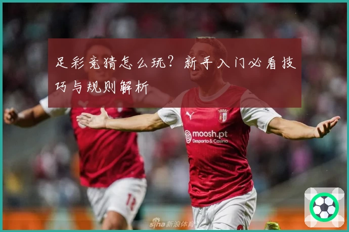 足彩竞猜怎么玩？新手入门必看技巧与规则解析