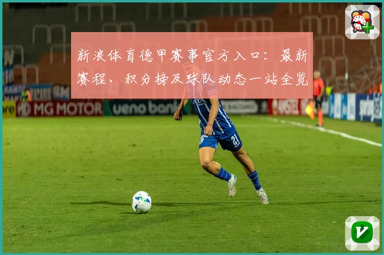 新浪体育德甲赛事官方入口：最新赛程、积分榜及球队动态一站全览