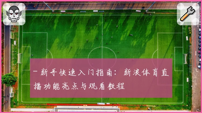 - 新手快速入门指南：新浪体育直播功能亮点与观看教程
