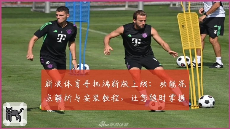 新浪体育手机端新版上线：功能亮点解析与安装教程，让您随时掌握赛事动态