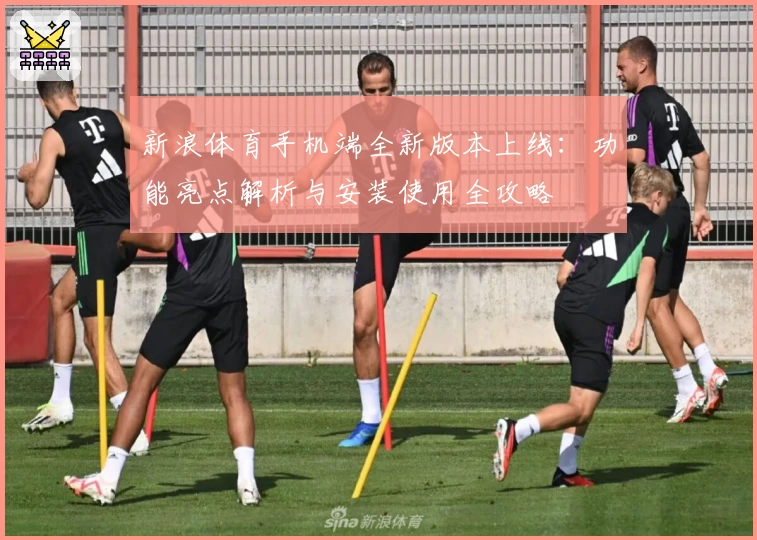 新浪体育手机端全新版本上线：功能亮点解析与安装使用全攻略