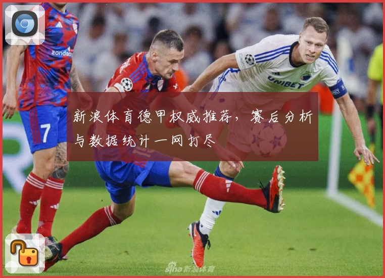新浪体育德甲权威推荐，赛后分析与数据统计一网打尽