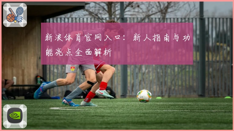 新浪体育官网入口：新人指南与功能亮点全面解析